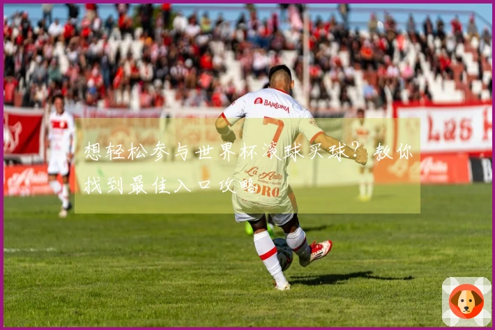 想轻松参与世界杯滚球买球？教你找到最佳入口攻略