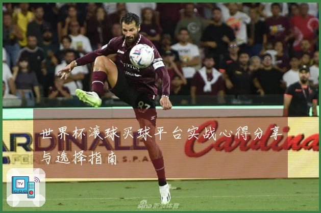 世界杯滚球买球平台实战心得分享与选择指南