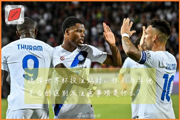 选择世界杯投注站时，体彩与其他平台的区别及注意事项是什么？