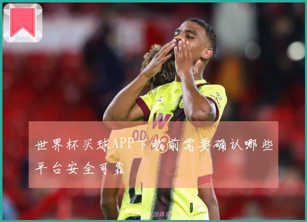 世界杯买球APP下载前需要确认哪些平台安全可靠