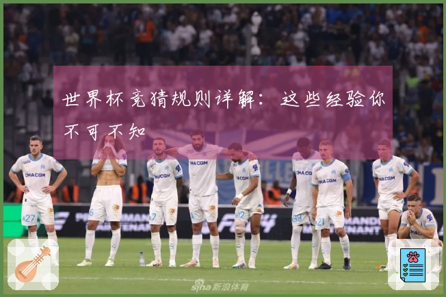 世界杯竞猜规则详解：这些经验你不可不知