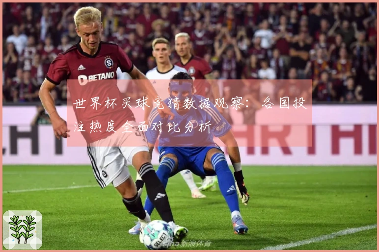 世界杯买球竞猜数据观察：各国投注热度全面对比分析