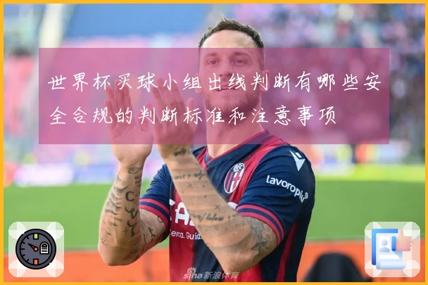 世界杯买球小组出线判断有哪些安全合规的判断标准和注意事项