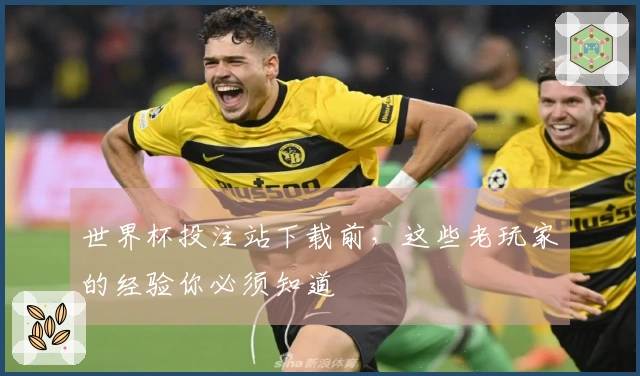 世界杯投注站下载前，这些老玩家的经验你必须知道