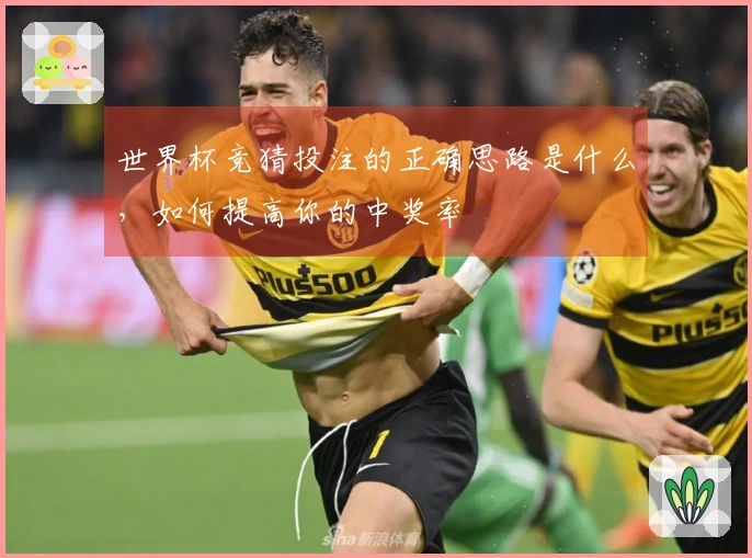 世界杯竞猜投注的正确思路是什么，如何提高你的中奖率