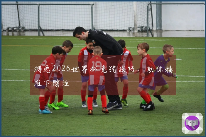 洞悉2026世界杯竞猜技巧，助你精准下赌注