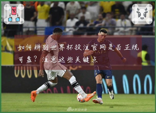 如何辨别世界杯投注官网是否正规可靠？注意这些关键点