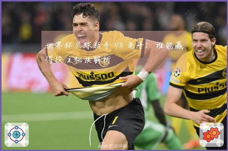 世界杯买球新手 vs 老手：谁能赢得投注秘诀解析