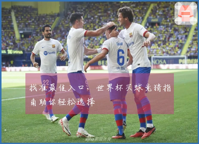 找准最佳入口，世界杯买球竞猜指南助你轻松选择