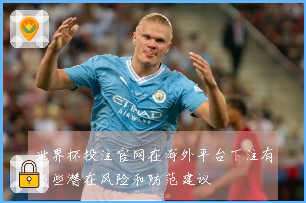 世界杯投注官网在海外平台下注有哪些潜在风险和防范建议