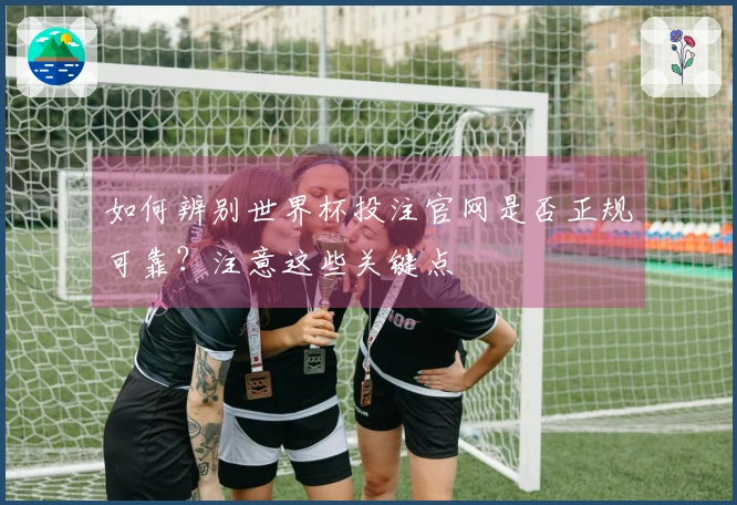 如何辨别世界杯投注官网是否正规可靠？注意这些关键点
