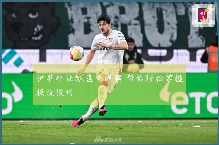 世界杯让球盘口详解 帮你轻松掌握投注技巧