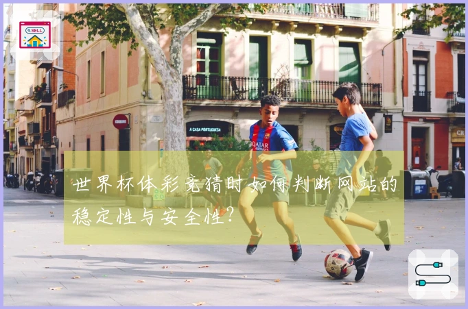 世界杯体彩竞猜时如何判断网站的稳定性与安全性？