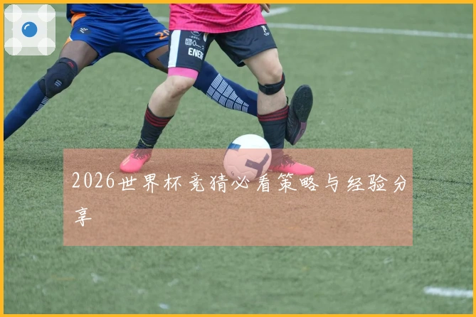 2026世界杯竞猜必看策略与经验分享