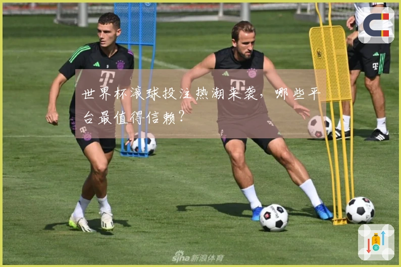 世界杯滚球投注热潮来袭，哪些平台最值得信赖？