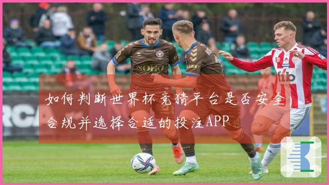 如何判断世界杯竞猜平台是否安全合规并选择合适的投注APP