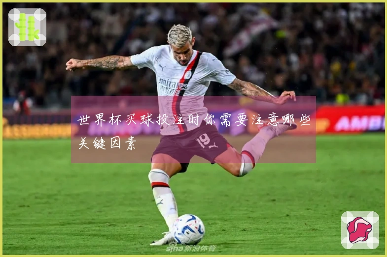 世界杯买球投注时你需要注意哪些关键因素