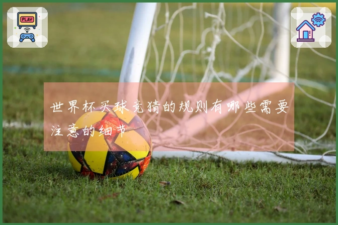 世界杯买球竞猜的规则有哪些需要注意的细节