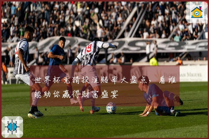 世界杯竞猜投注赔率大盘点，看谁能助你赢得财富盛宴