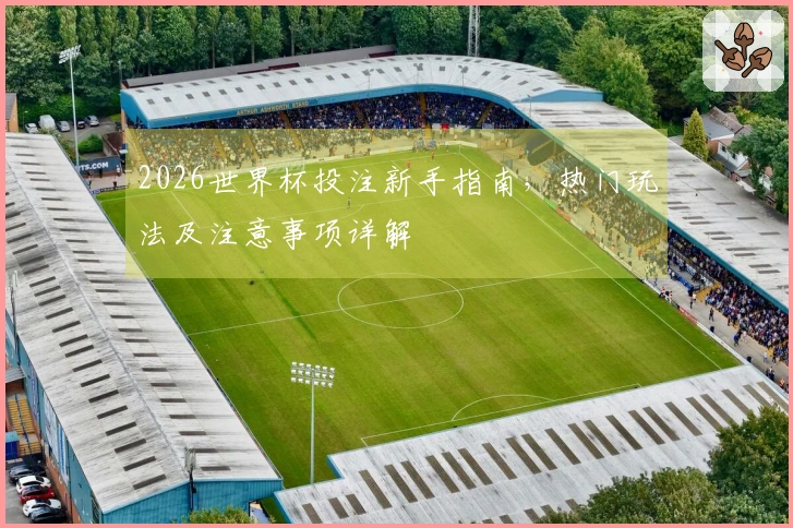2026世界杯投注新手指南，热门玩法及注意事项详解
