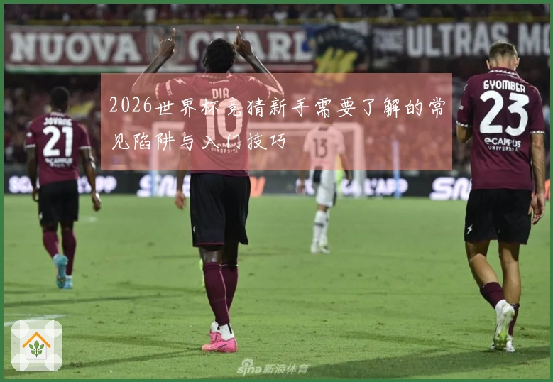 2026世界杯竞猜新手需要了解的常见陷阱与入门技巧