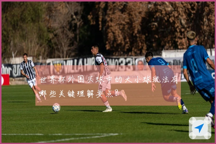 世界杯外围买球中的大小球玩法有哪些关键理解要点？