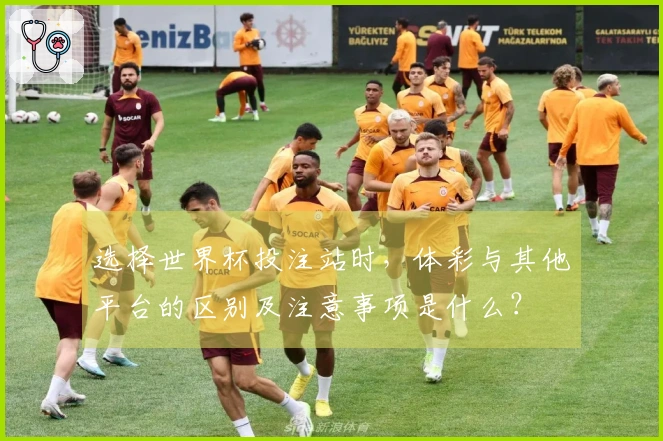 选择世界杯投注站时,体彩与其他平台的区别及注意事项是什么?