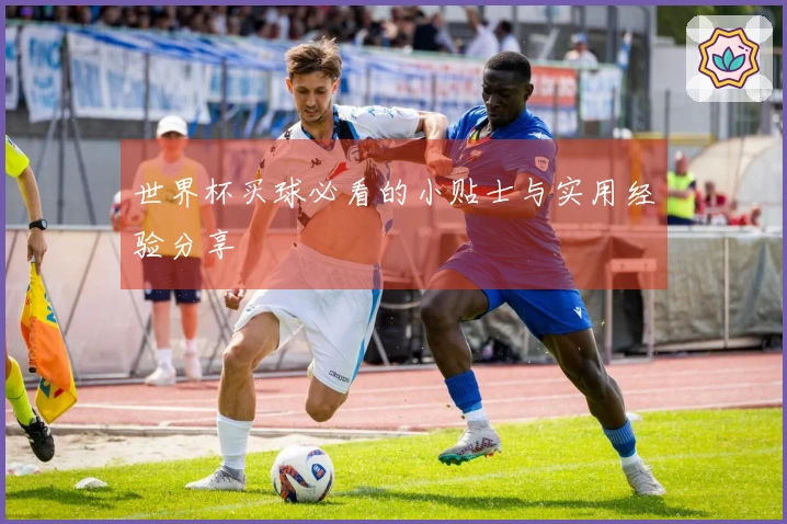 世界杯买球必看的小贴士与实用经验分享