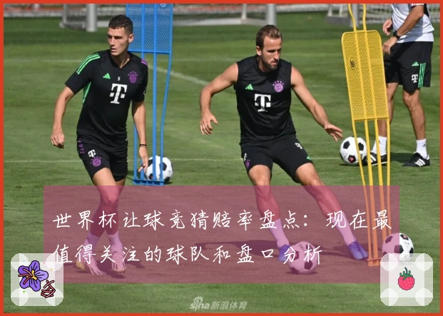 世界杯让球竞猜赔率盘点：现在最值得关注的球队和盘口分析