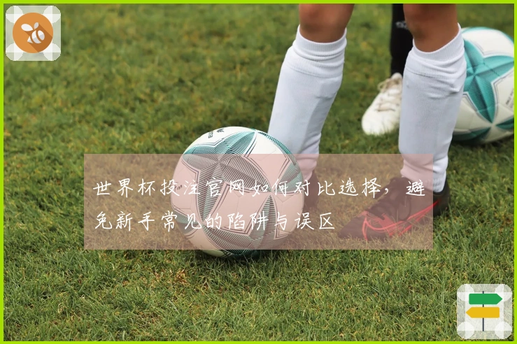 世界杯投注官网如何对比选择,避免新手常见的陷阱与误区