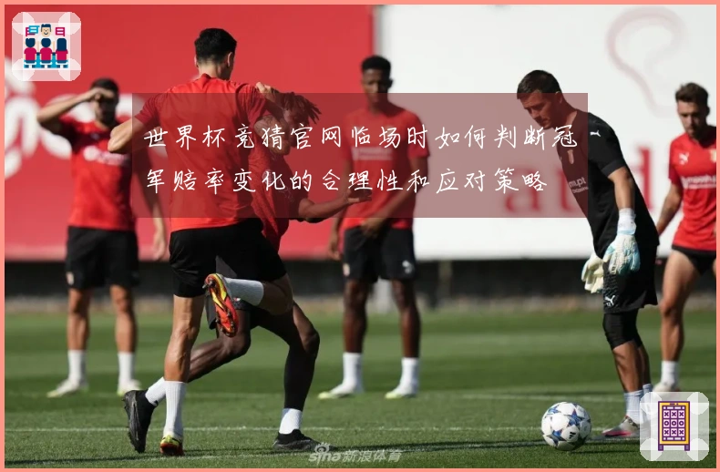 世界杯竞猜官网临场时如何判断冠军赔率变化的合理性和应对策略
