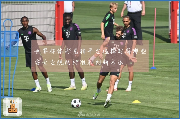 世界杯体彩竞猜平台选择时有哪些安全合规的标准和判断方法