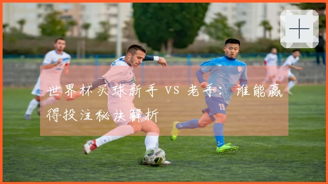 世界杯买球新手 vs 老手：谁能赢得投注秘诀解析