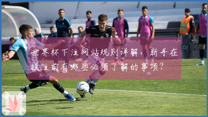 世界杯下注网站规则详解,新手在投注前有哪些必须了解的事项?