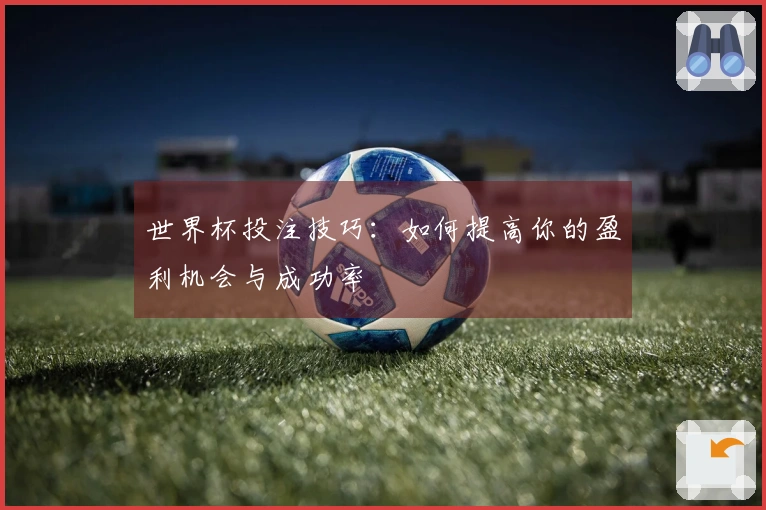 世界杯投注技巧：如何提高你的盈利机会与成功率