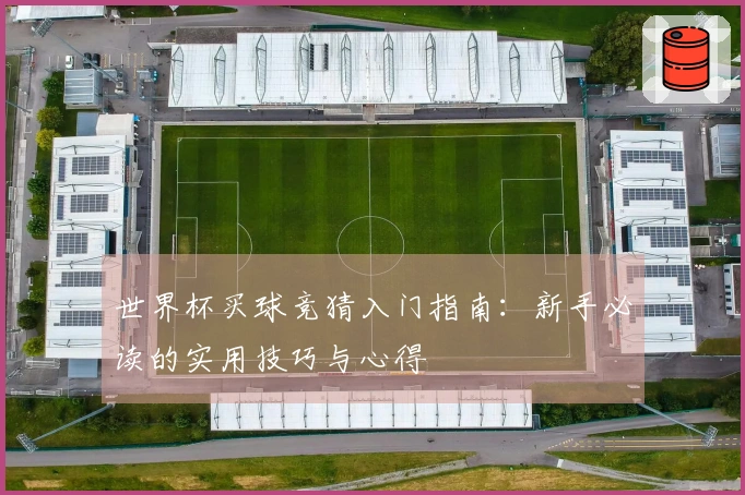 世界杯买球竞猜入门指南：新手必读的实用技巧与心得